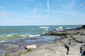 _1170DSC_6366