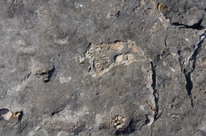 _1180DSC_6378