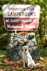 Apollo at Mt. Baker sign