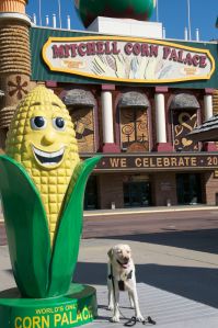 Apollo Corn Palace