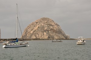 _6370DSC_0698