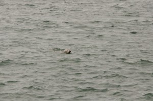 _6375DSC_0703