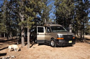 Apollo in BRyceRV Park