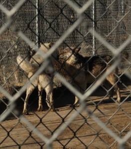 Flurry reunited with his significan other