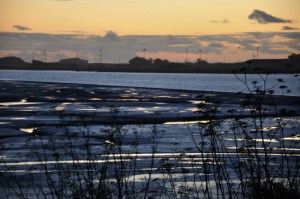 HUmbolt bay wetland restoration