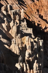 Marching toward victory