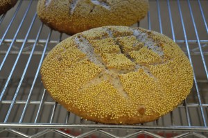 Moroccan Millet Bread
