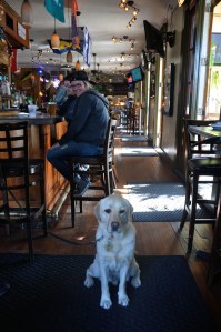 apollo at pellican bar