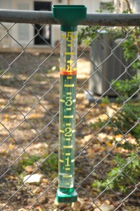rain guage