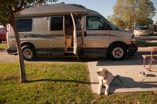 Apollo in Bakersfield