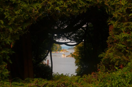 boat thru trees