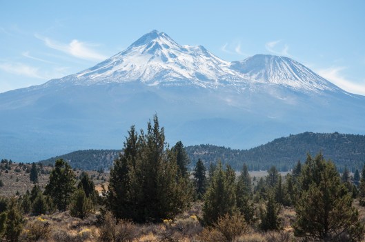Mt. Shasta