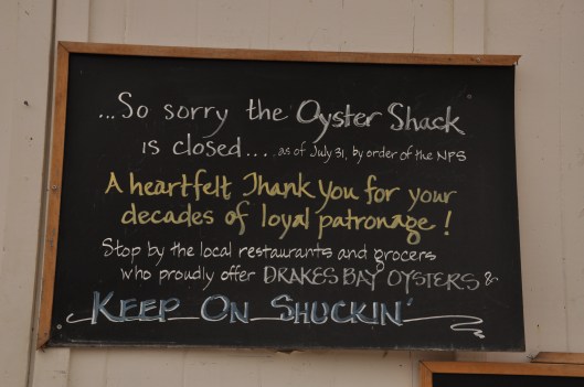oyster sign