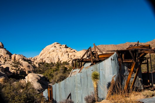 Joshua Tree junk 2