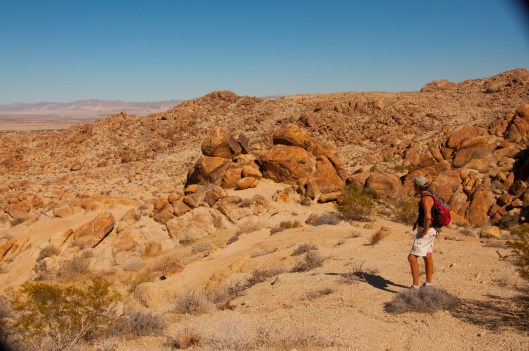 Joshua Tree mitch hike