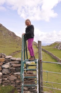 Joanne Climbing Fence