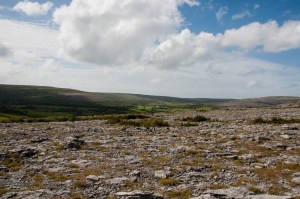 The Burren 4