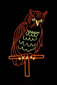 A1. Owl lighr