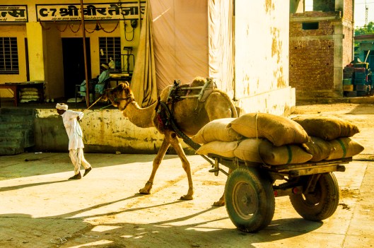 camel-and-cart